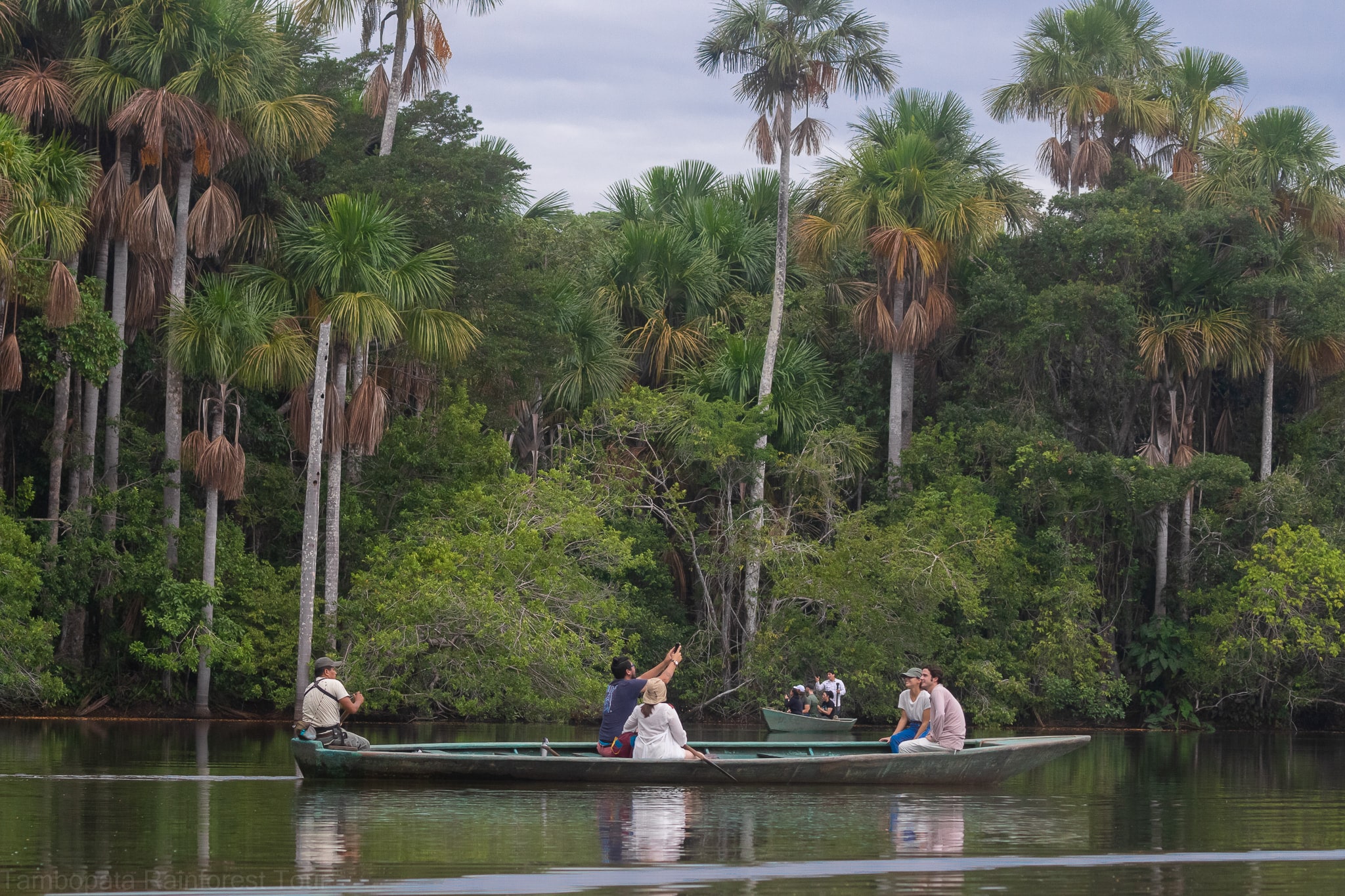 Tambopata Jungle Tours Peru 3 dias