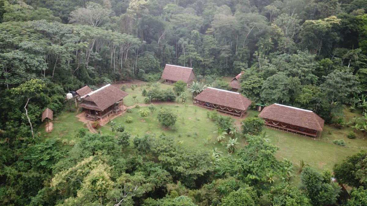 Albergue Tambopata Lodge Inn