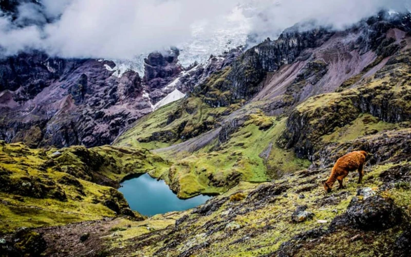 Caminata a Lares Machupicchu  4 Dias