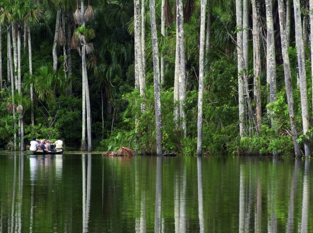 Amazon Trips Lago Sandoval