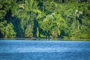 Amazon Trips lago sandoval