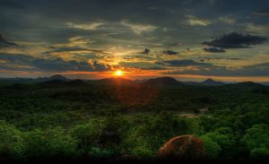 The Peruvian Amazon Rainforest