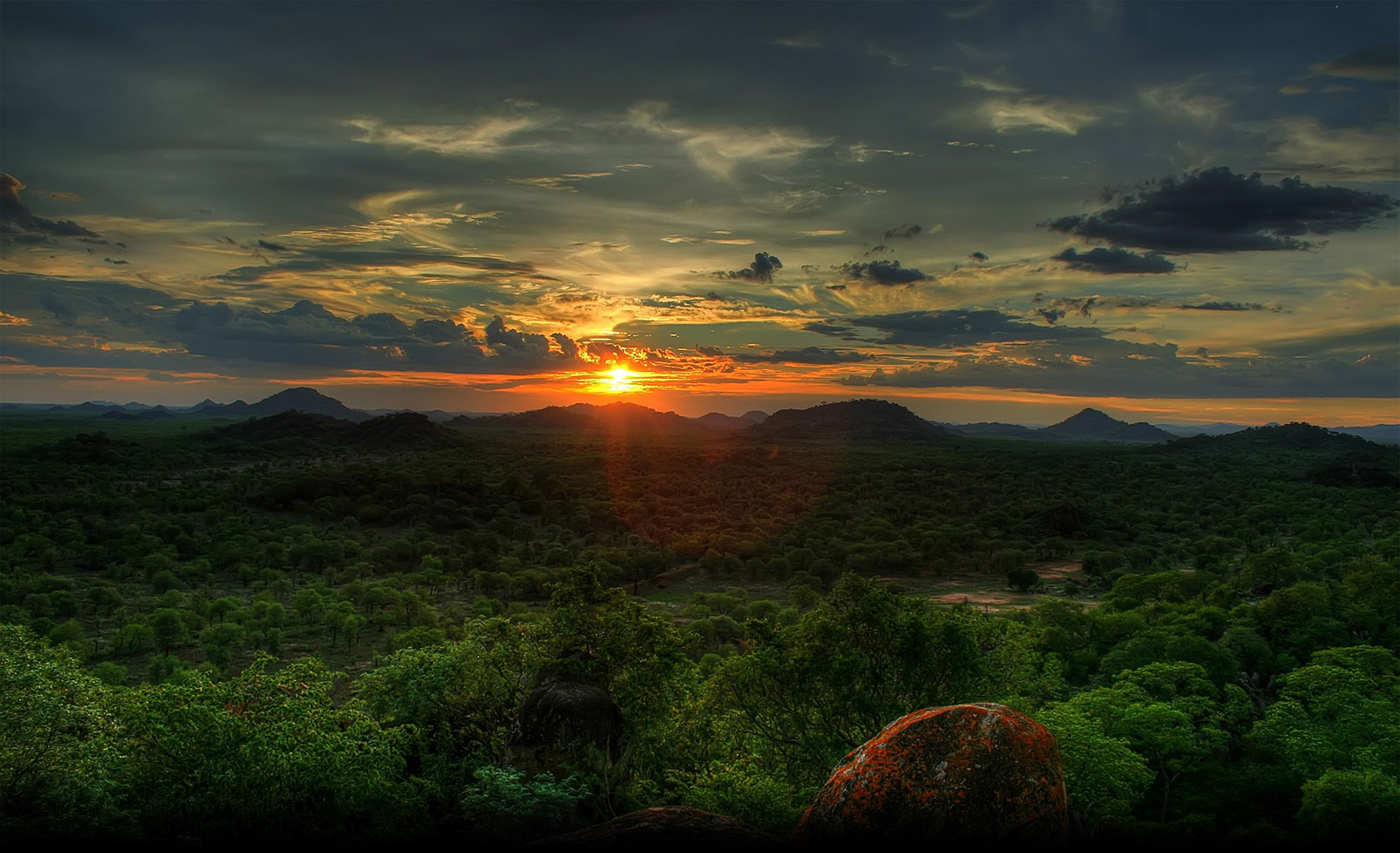 The Peruvian  Amazon Rainforest