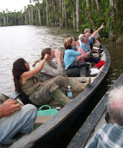 La selva Amazonica Peruana