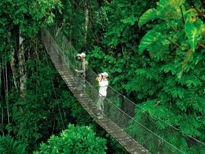 Aventuras Inolvidable Selva Amazonica