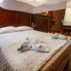matrimonial room amazon rainforest tours 